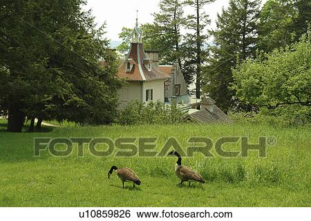 Stock Photograph -  Tarrytown, NY, New York, Hudson Valley, Westchester, Washington Irving's Sunnyside. Fotosearch