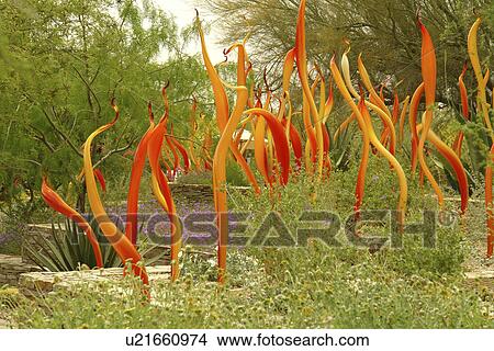 Picture -  Tempe, Phoenix, Arizona, AZ. Fotosearch