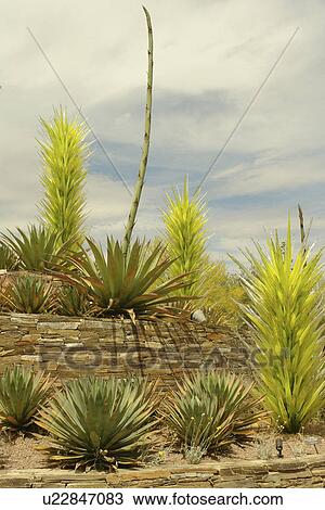 Stock Image -  Tempe, Phoenix, Arizona, AZ. Fotosearch