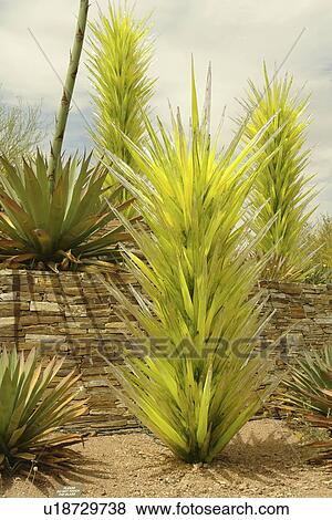 Tempe, Phoenix, Arizona, AZ View Large Photo Image Stock Photo - Tempe, Phoenix, Arizona, AZ. Fotosearch