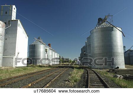 The Palouse Country, WA, Washington, Whitman County, grain elevators, railroad, tracks View Large Photo Image Picture - The Palouse Country, WA, Washington, Whitman County, grain elevators, railroad, tracks. Fotosearch