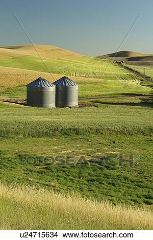 Picture -  The Palouse Country, WA, Washington, Whitman County, rolling hills, fields, farmland, silos. Fotosearch