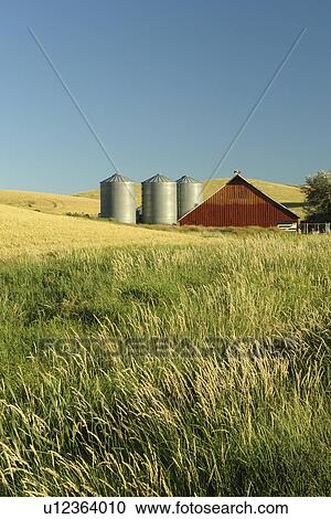 The Palouse Country, WA, Washington, Whitman County, rolling hills, fields, farmland, silos View Large Photo Image Stock Image - The Palouse Country, WA, Washington, Whitman County, rolling hills, fields, farmland, silos. Fotosearch