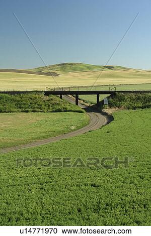 Stock Image -  The Palouse Country, WA, Washington, Whitman County, rolling hills, fields, railroad bridge. Fotosearch