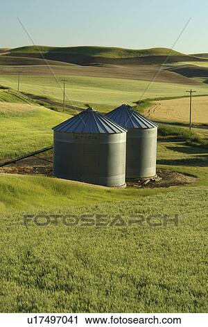 The Palouse Country, WA, Washington, Whitman County, rolling hills, fields, farmland, silos View Large Photo Image Stock Image - The Palouse Country, WA, Washington, Whitman County, rolling hills, fields, farmland, silos. Fotosearch