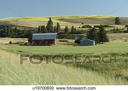 The Palouse Country, WA, Washington, Whitman County, rolling hills, fields, barn View Large Photo Image Stock Image - The Palouse Country, WA, Washington, Whitman County, rolling hills, fields, barn. Fotosearch