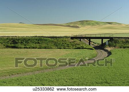 Stock Image -  The Palouse Country, WA, Washington, Whitman County, rolling hills, fields, railroad bridge. Fotosearch