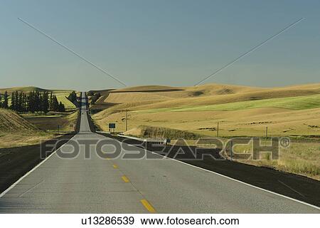The Palouse Country, WA, Washington, Whitman County, rolling hills, scenic drive, road View Large Photo Image Stock Photo - The Palouse Country, WA, Washington, Whitman County, rolling hills, scenic drive, road. Fotosearch
