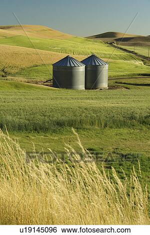 Stock Photograph -  The Palouse Country, WA, Washington, Whitman County, rolling hills, fields, farmland, silos. Fotosearch