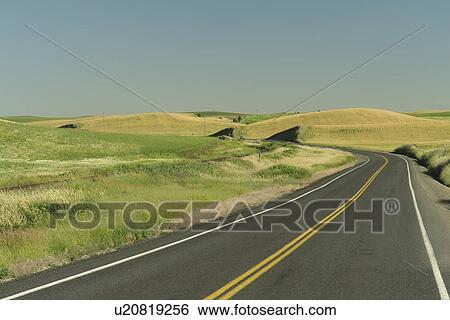 The Palouse Country, WA, Washington, Whitman County, rolling hills, scenic drive, road View Large Photo Image Stock Photograph - The Palouse Country, WA, Washington, Whitman County, rolling hills, scenic drive, road. Fotosearch