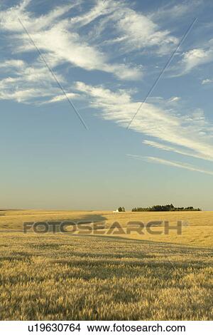 The Palouse County, WA, Washington, Adams County, along I-90 View Large Photo Image Picture - The Palouse County, WA, Washington, Adams County, along I-90. Fotosearch