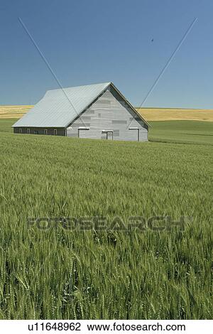 Uniontown, The Palouse Country, WA, Washington, Whitman County, rolling hills, fields, farmland View Large Photo Image Stock Image - Uniontown, The Palouse Country, WA, Washington, Whitman County, rolling hills, fields, farmland. Fotosearch