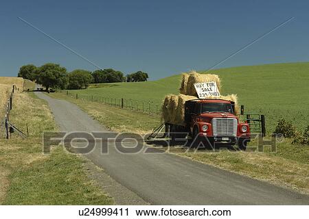 Uniontown, The Palouse Country, WA, Washington, Whitman County, red truck, hay for sale View Large Photo Image Stock Image - Uniontown, The Palouse Country, WA, Washington, Whitman County, red truck, hay for sale. Fotosearch
