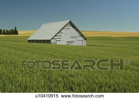 Uniontown, The Palouse Country, WA, Washington, Whitman County, rolling hills, fields, farmland View Large Photo Image Stock Photography - Uniontown, The Palouse Country, WA, Washington, Whitman County, rolling hills, fields, farmland. Fotosearch