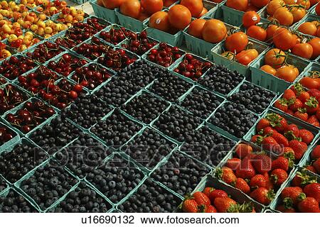 Upstate, NY, New York, Farmer's Market, berries, produce View Large Photo Image Stock Image - Upstate, NY, New York, Farmer's Market, berries, produce. Fotosearch