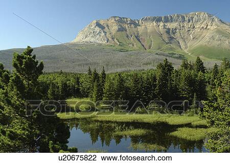 Waterton Lakes National Park, Alberta, Canada, Rocky Mountains, Sofa Mountain along Chief Mountain International Highway View Large Photo Image Stock Image - Waterton Lakes National Park, Alberta, Canada, Rocky Mountains, Sofa Mountain along Chief Mountain International Highway. Fotosearch