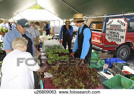 West Chester, PA, Pennsylvania, Saturday Farmers Market, Amish, organic produce View Large Photo Image Stock Image - West Chester, PA, Pennsylvania, Saturday Farmers Market, Amish, organic produce. Fotosearch