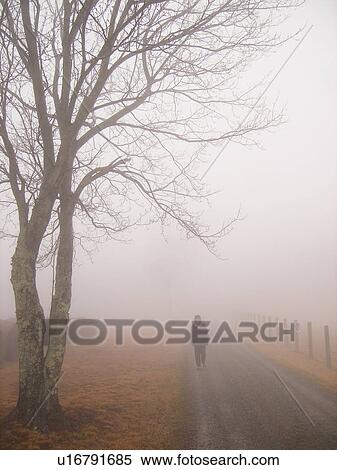 woman walking, dirt road, fog, Galax, Virginia, VA View Large Photo Image Stock Photography - woman walking, dirt road, fog, Galax, Virginia, VA. Fotosearch