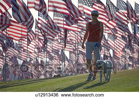 3000 US Flags for 9/11 View Large Photo Image Stock Photograph - 3000 US Flags for 9/11. Fotosearch