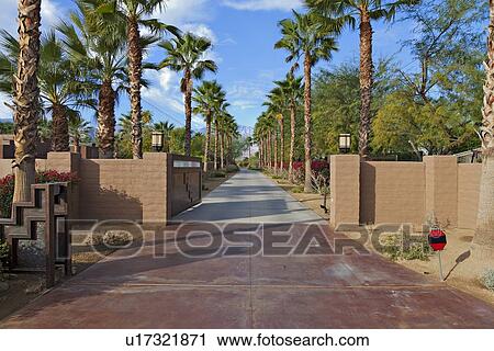 Empty Private Road lined with Palm trees View Large Photo Image Stock Image - Empty Private Road lined with Palm trees . Fotosearch