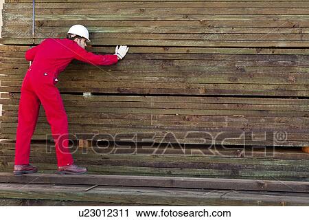 Hispanic worker inspecting timber wooden planks View Large Photo Image Stock Image - Hispanic worker inspecting timber wooden planks. Fotosearch