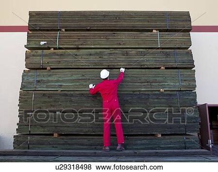 Hispanic worker inspecting timber wooden planks View Large Photo Image Stock Photo - Hispanic worker inspecting timber wooden planks. Fotosearch