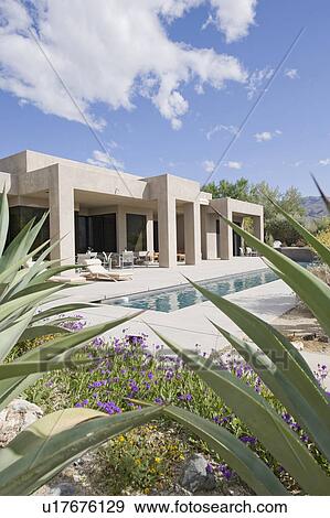 Stock Photo - Looking through bushes to house exterior with lap pool. Fotosearch