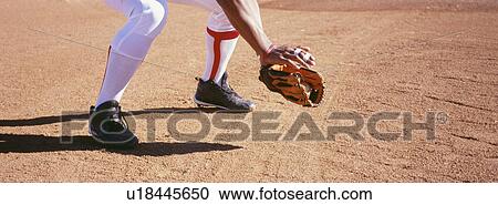 Low section of baseball catcher in position on field View Large Photo Image Stock Image - Low section of baseball catcher in position on field. Fotosearch