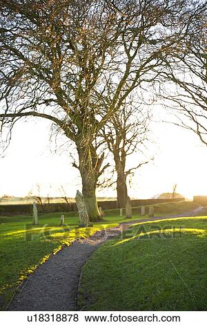 Path leading towards sun behind tree in cemetery, Hill of Tara, Ireland View Large Photo Image Stock Photo - Path leading towards sun behind tree in cemetery, Hill of Tara, Ireland. Fotosearch