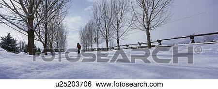 Person walking on snow covered land View Large Photo Image Stock Photograph - Person walking on snow covered land. Fotosearch