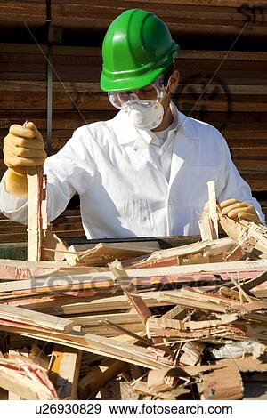 Safety inspector holding broken pieces of wood View Large Photo Image Stock Photo - Safety inspector holding broken pieces of wood. Fotosearch