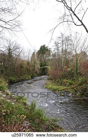 Stream with trees in Kenmare, Ireland View Large Photo Image Stock Photography - Stream with trees in Kenmare, Ireland. Fotosearch