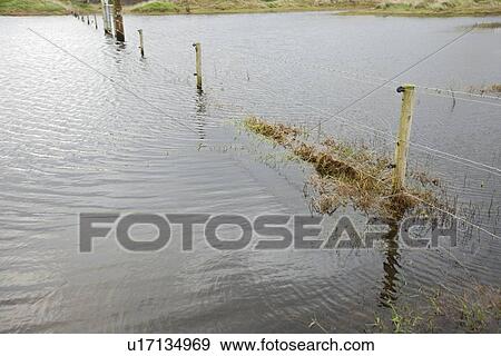 Stock Photo - Submerged fence posts. Fotosearch