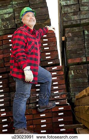 Worker inspecting wood in front of hard wood pile View Large Photo Image Stock Image - Worker inspecting wood in front of hard wood pile. Fotosearch