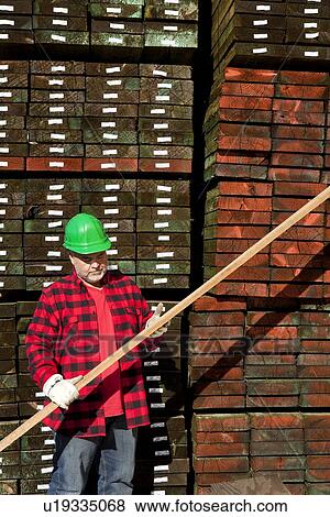 Worker inspecting wood in front of hard wood pile View Large Photo Image Stock Photo - Worker inspecting wood in front of hard wood pile. Fotosearch