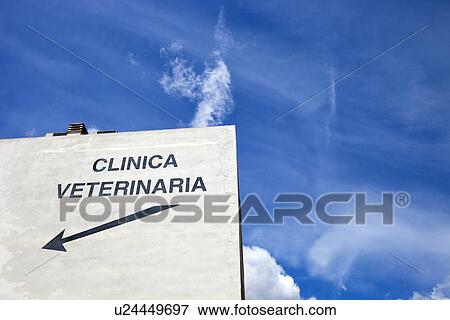 Veterinarian Clinic sign, Valencia Spain View Large Photo Image Stock Photo - Veterinarian Clinic sign, Valencia Spain. Fotosearch