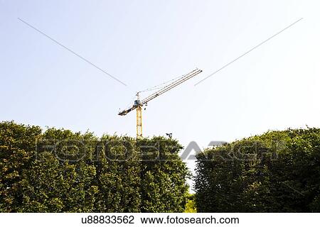 Stock Image - Crane appearing over Green hedges. Fotosearch