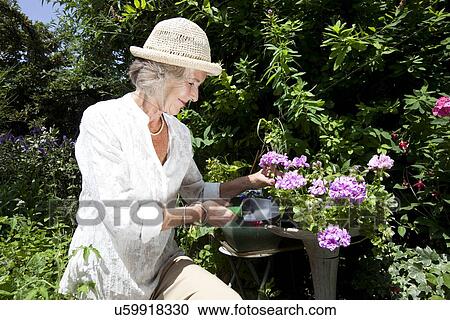 Happy senior woman gardening in backyard View Large Photo Image Stock Image - Happy senior woman gardening in backyard. Fotosearch