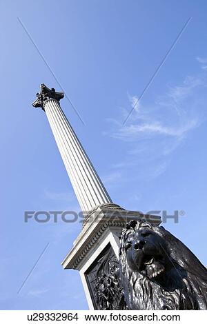 Lion Statue and Nelson's column in Trafalgar Square, London View Large Photo Image Picture - Lion Statue and Nelson's column in Trafalgar Square, London. Fotosearch