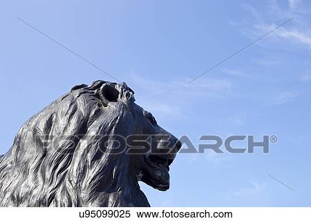 Lion Statue at Nelson's column, Trafalgar Square, London View Large Photo Image Stock Photography - Lion Statue at Nelson's column, Trafalgar Square, London. Fotosearch