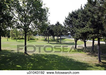 Stock Image - Peaceful London Park. Fotosearch