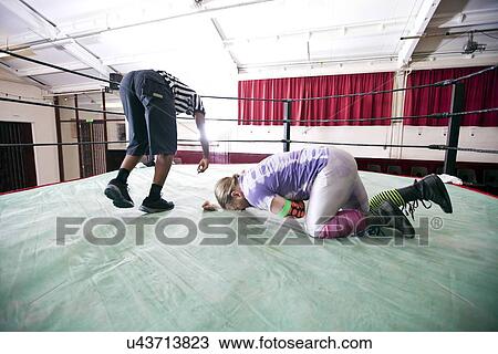 Referee counting out fallen boxer View Large Photo Image Stock Image - Referee counting out fallen boxer. Fotosearch