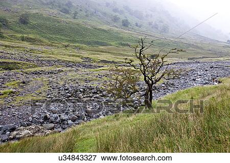 Rocky stream at countryside View Large Photo Image Stock Photo - Rocky stream at countryside. Fotosearch