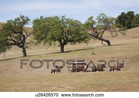Spirit of the West, a stage coachand horse-drawn vehicle reenactment in Santa Ynez, California View Large Photo Image Stock Image - Spirit of the West, a stage coachand horse-drawn vehicle reenactment in Santa Ynez, California. Fotosearch