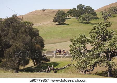 Spirit of the West, a stage coachand horse-drawn vehicle reenactment in Santa Ynez, California View Large Photo Image Stock Photo - Spirit of the West, a stage coachand horse-drawn vehicle reenactment in Santa Ynez, California. Fotosearch