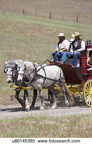 Spirit of the West, a stage coachand horse-drawn vehicle reenactment in Santa Ynez, California View Large Photo Image Stock Photography - Spirit of the West, a stage coachand horse-drawn vehicle reenactment in Santa Ynez, California. Fotosearch