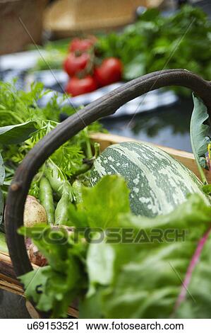 Stock Image - Basket Of Freshly Picked Garden Produce. Fotosearch