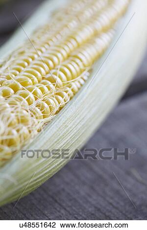 Close Up Of Fresh Sweetcorn On Cob View Large Photo Image Stock Image - Close Up Of Fresh Sweetcorn On Cob. Fotosearch