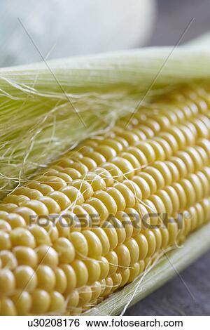 Close Up Of Fresh Sweetcorn On Cob View Large Photo Image Stock Photograph - Close Up Of Fresh Sweetcorn On Cob. Fotosearch