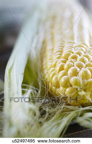 Close Up Of Fresh Sweetcorn On Cob View Large Photo Image Stock Photography - Close Up Of Fresh Sweetcorn On Cob. Fotosearch